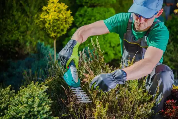 landscaping services Altamont